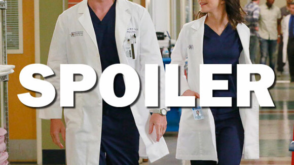 Grey's Anatomy saison 13 : Amelia et Owen vers la rupture ? Caterina Scorsone se confie