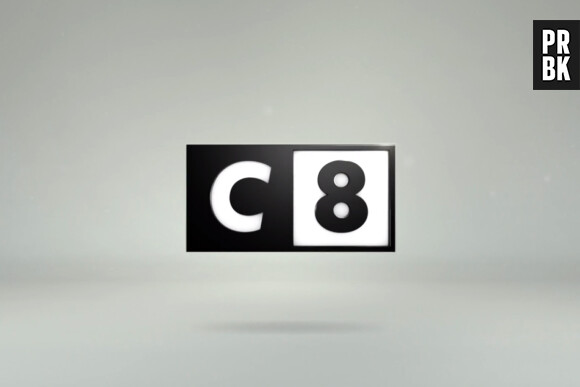 C8 : bientôt une émission pour aider les stars célibataires à trouver l'amour ?