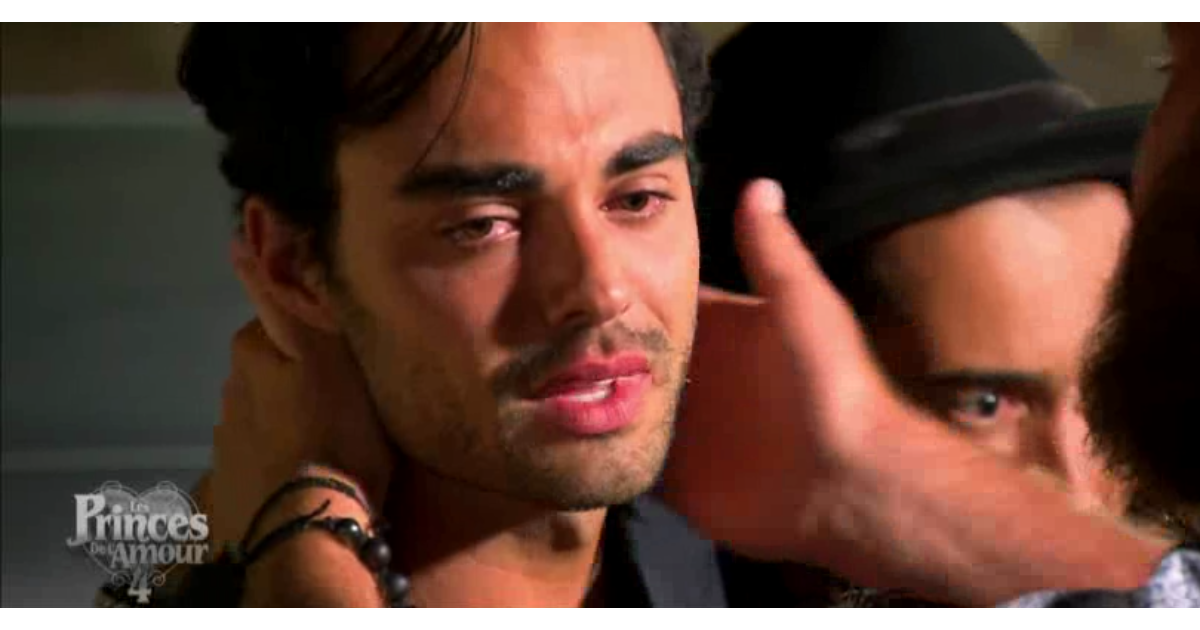 Julien Marlon Samani Les Princes De L'amour