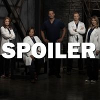 Grey&#039;s Anatomy saison 13 : une actrice va quitter la série