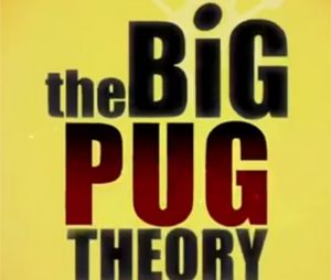 The Big Bang Theory : la série parodiée par Doug The Pug
