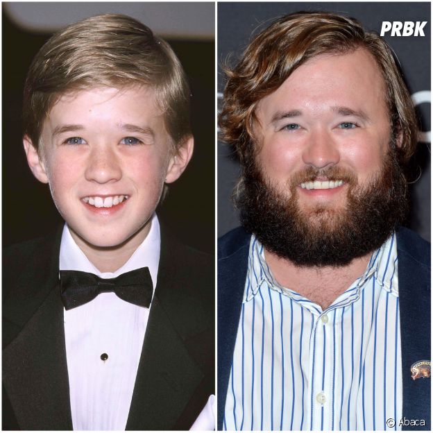 Haley Joel Osment : le petit garçon du film Sixième sens a bien changé !