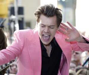 Harry Styles : ses fans lancent le #HarryWhaleChallenge et tentent de... cracher de l'eau comme leur idole !
