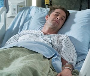 Grey's Anatomy saison 14, épisode 17 : Nick Mars a séduit Meredith et les fans