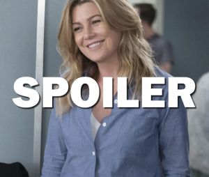 Grey's Anatomy saison 14 : nouveau prétendant pour Meredith dans l'épisode 17