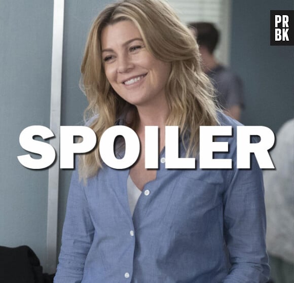 Grey's Anatomy saison 14 : nouveau prétendant pour Meredith dans l'épisode 17