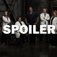 Grey&#039;s Anatomy saison 14 : un final mortel ? Ellen Pompeo promet des larmes