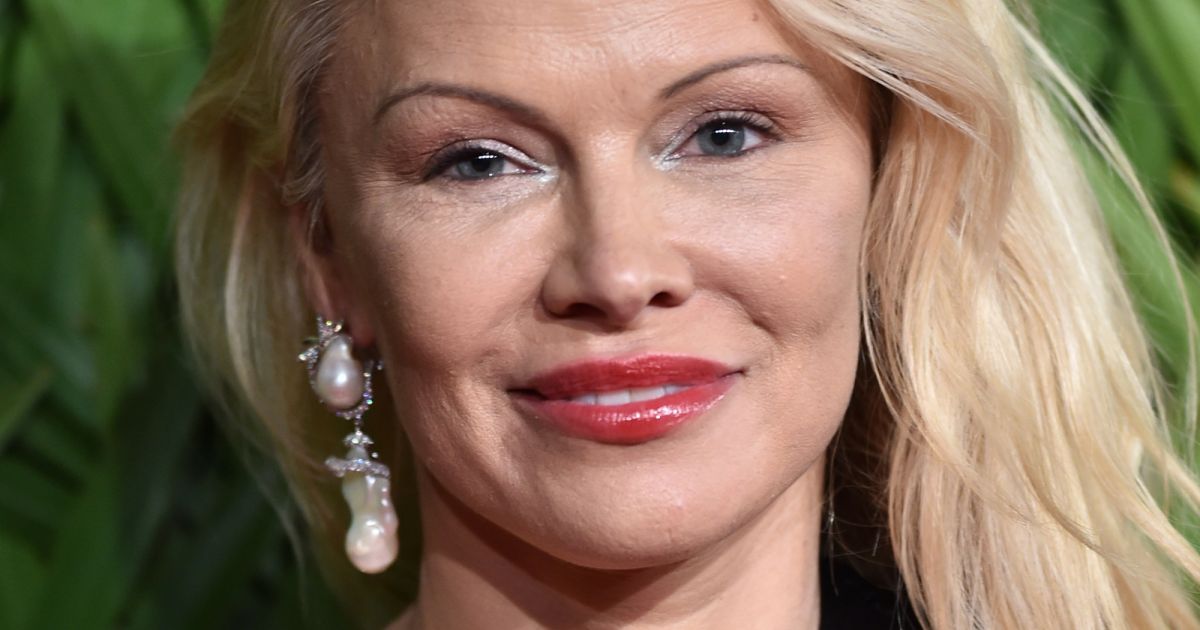 Danse avec les Stars 9 : Pamela Anderson au casting - Purebreak