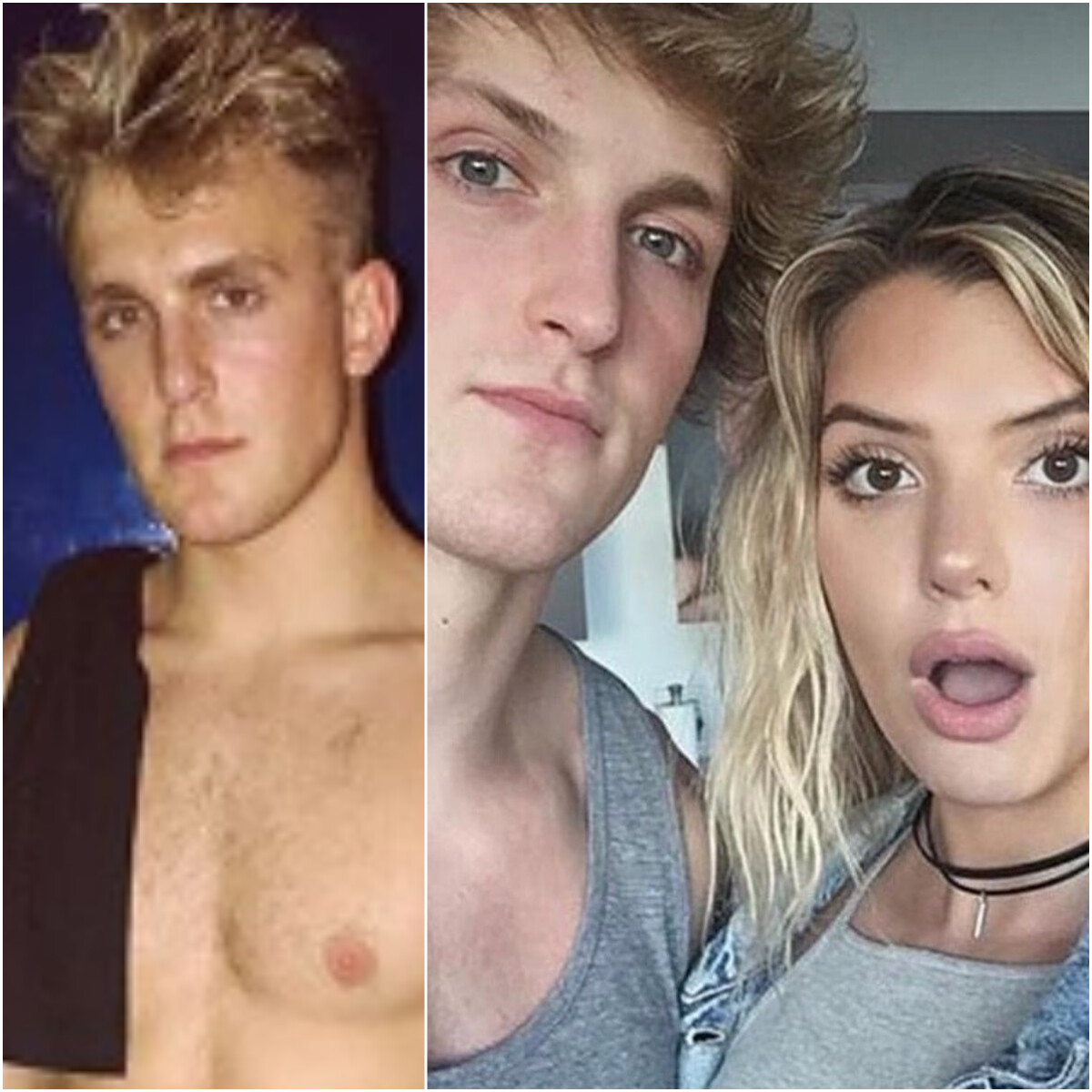 Jake Paul trompé par Alissa Violet avec son frère Logan ? Son ex avoue  enfin la vérité - PureBreak