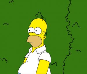 Les Simpson : Homer utilise un cultissime GIF de lui-même dans une scène déjà culte