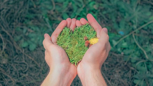 FridaysForFuture : en grève, les lycéens et les étudiants français se battent pour le climat ?