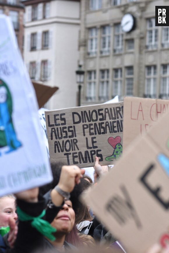 Marche pour le climat : les slogans les plus osés et improbables