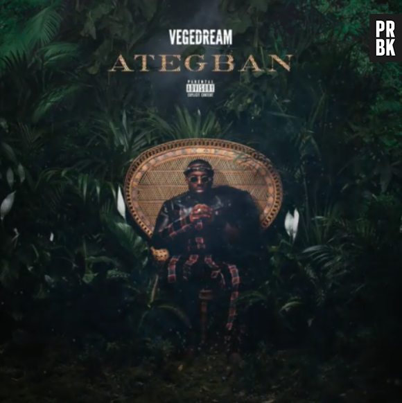Vegedream de retour avec "Ategban" : il dévoile la date de sortie de son album