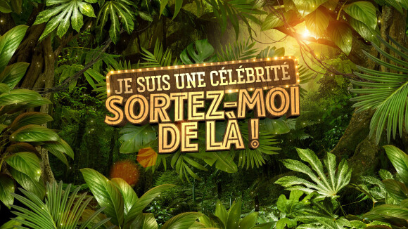 Je suis une célébrité, sortez-moi de là : casting, épreuves, date de diff... les premières infos