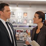 NCIS saison 17 : Ziva et Tony séparés ou en couple en secret ? Cote de Pablo répond