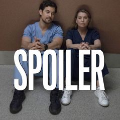 Grey's Anatomy saison 16 : les médecins en danger de mort dans la bande-annonce de l'épisode 10