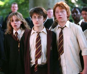 Rupert Grint dans la saga Harry Potter