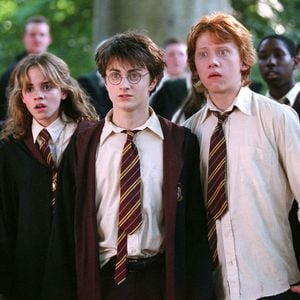 Rupert Grint dans la saga Harry Potter