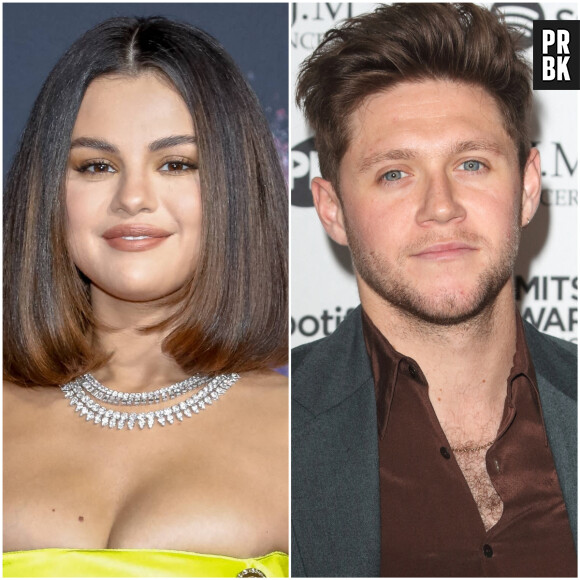 Selena Gomez en couple avec Niall Horan ? On a enfin la réponse !