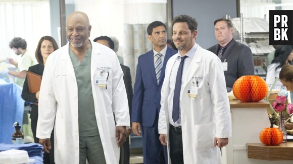 Grey's Anatomy saison 16 : bientôt un spin-off sur Pac North avec Alex et Richard ?