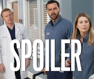 Grey's Anatomy saison 16 : raisons du départ d'Alex, couples... ce que vous allez voir dans la suite