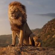 Le Roi Lion 2 : c&#039;est officiel, Disney commande une suite inédite du film en live-action