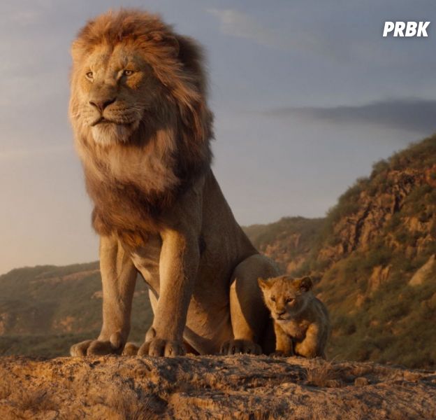 Le Roi Lion 2 : c'est officiel, Disney commande une suite du film en live-action