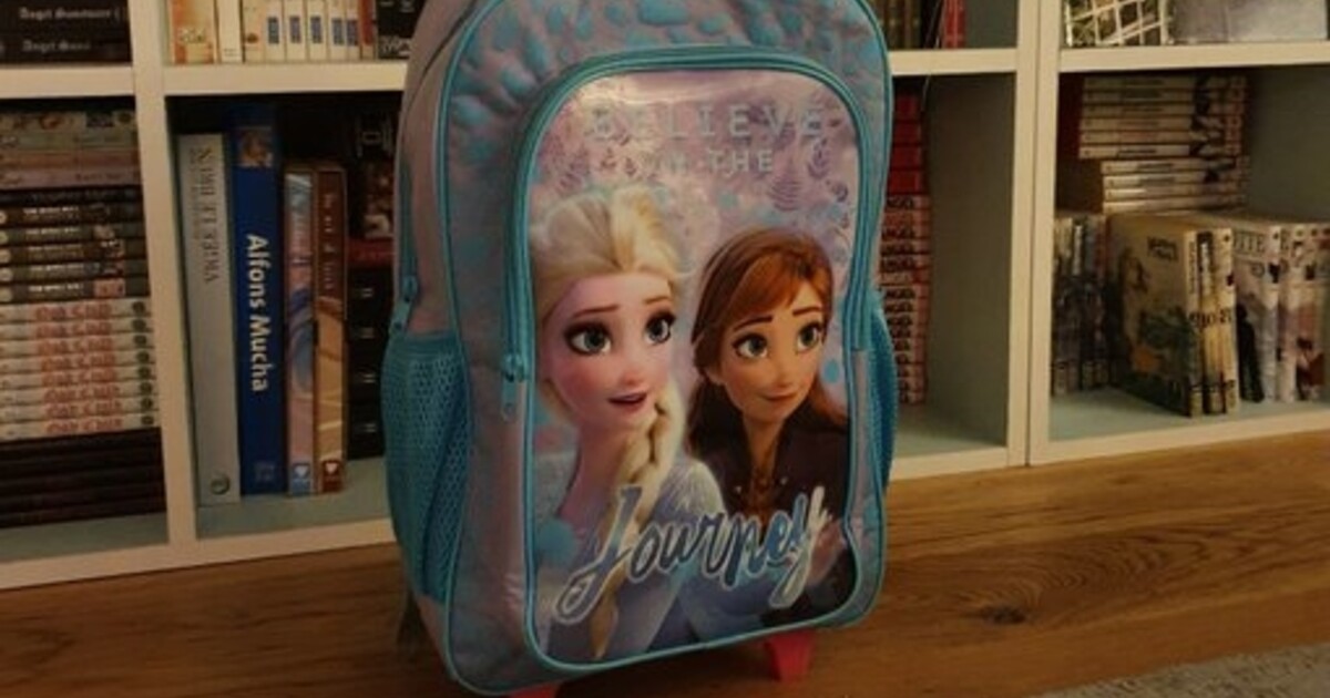 Un petit garçon moqué à l'école à cause de son sac La Reine des Neiges