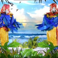 Mask Singer 2 : quelles célébrités derrière les perroquets ? Les indices sur leur identité