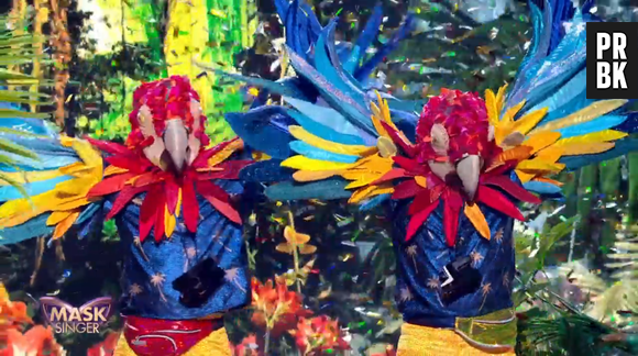 Mask Singer 2 : quelles célébrités derrière les perroquets ? Les indices sur leur identité