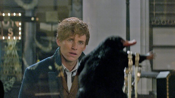 Les Animaux Fantastiques : les créatures de la saga s'invitent au musée à Londres