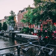 Amsterdam veut interdire les coffee-shops aux touristes : fini le tourisme du cannabis ?