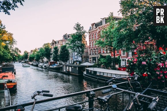 Amsterdam : bientôt une interdiction pour les touristes d'aller dans les coffee-shops ? La maire de la ville voudrait arrêter le tourisme lié à la weed
