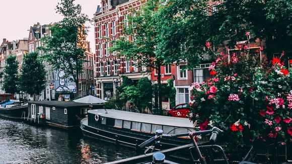 Amsterdam veut interdire les coffee-shops aux touristes : fini le tourisme du cannabis ?