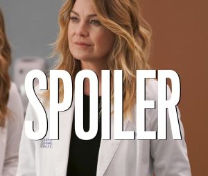 Grey's Anatomy saison 17 : un personnage est mort, Ellen Pompeo réagit