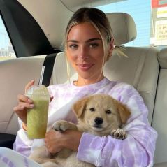 Kellyn accusée de maltraitance sur son chien par Dylan Thiry : "Je suis aussi choquée que vous"