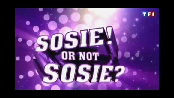 Sosie or not Sosie avec Vincent Cerutti sur TF1 ... un extrait de l'émission