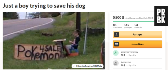 Pokémon : un garçon vend sa collection de cartes pour sauver la vie de son chien