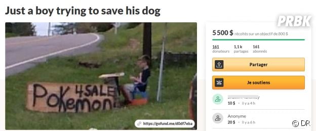 Pokémon : un garçon vend sa collection de cartes pour sauver la vie de son chien