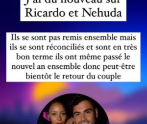 Ricardo et Nehuda sur le point de se remettre en couple ? Selon Wassim TV, les candidats qui avaient été évincés des Vacances des Anges 4 pourraient se redonner une chance.