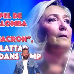 TPMP : une chroniqueuse va voter Marine Le Pen et assume, "J'aimerais bien une maman des Français"
