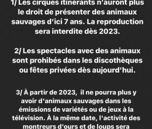 Hugo Clément milite contre la maltraitance animale