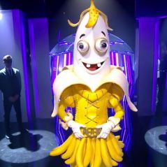Mask Singer 2022 : "J'avais envie de vous piéger", l'incroyable identité de la Banane a surpris tout le monde