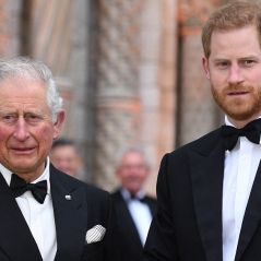 Et si le prince Harry n'était pas le vrai fils du roi Charles III ? L'étonnant retour des rumeurs à propos d'un ex-amant de Lady Di