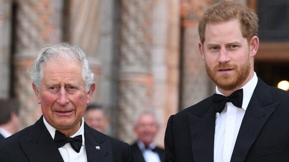 Et si le prince Harry n'était pas le vrai fils du roi Charles III ? L'étonnant retour des rumeurs à propos d'un ex-amant de Lady Di