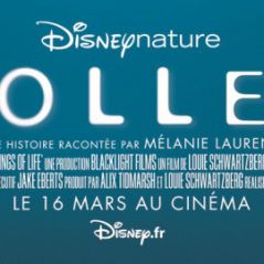Pollen ... le nouveau film de Disney voici la bande-annonce et l'affiche