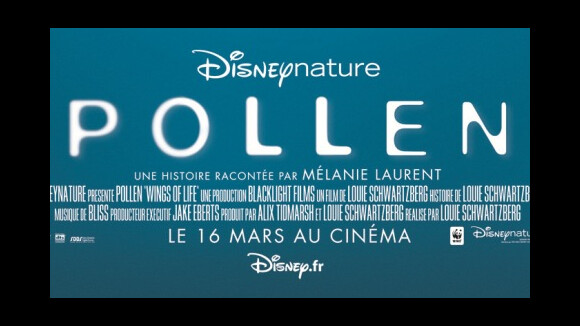 Pollen ... le nouveau film de Disney voici la bande-annonce et l'affiche