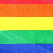 Coupe du Monde 2022 : la police du Qatar piétine et interdit un drapeau brésilien confondu avec un symbole LGBT
