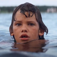 Steven Spielberg voulait faire Les Dents de la mer 2 mais les producteurs ont recalé son idée : une sorte d&#039;Il faut sauver le soldat Ryan avec des requins