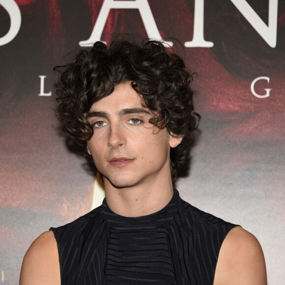 Timothée Chalamet au photocall du film "Bones And All" à Milan, Italie, le 12 novembre 2022.  Celebrities attend the "Bones and All" photocall in Milan, Italy, on November 13, 2022. 